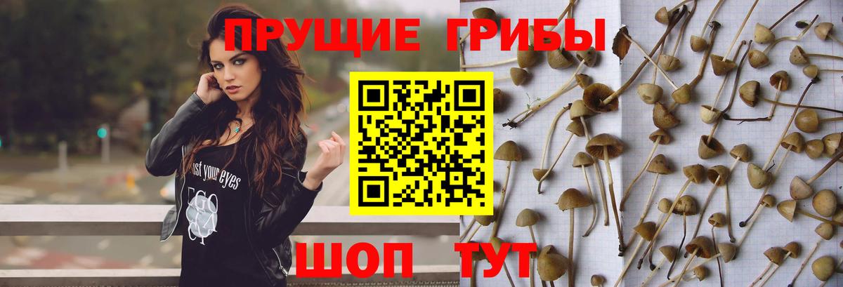 Галлюциногенные грибы ЛСД  Псилоцибиновые грибы мухоморы  Вход с VPN  Орёл 