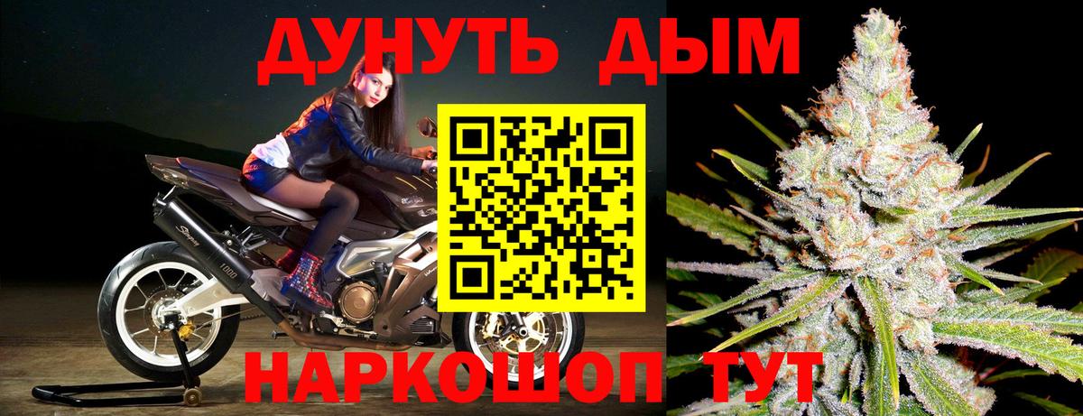 Конопля Bruce Banner Орёл